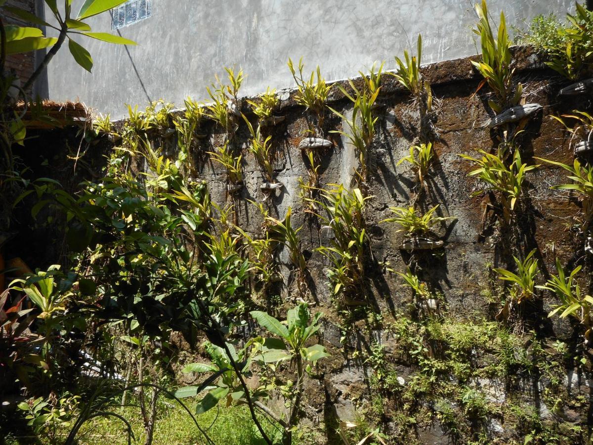 Milla Homestay Sidemen  Bagian luar foto