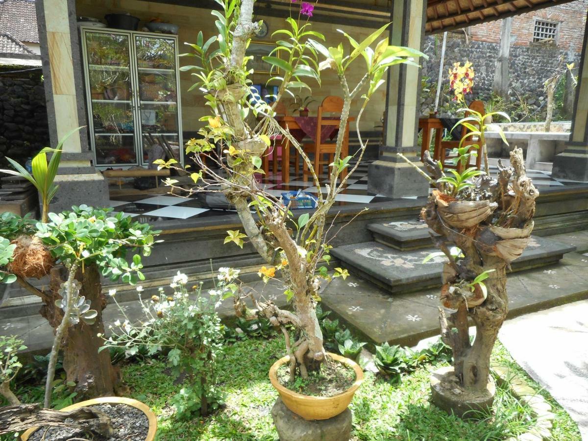 Milla Homestay Sidemen  Bagian luar foto