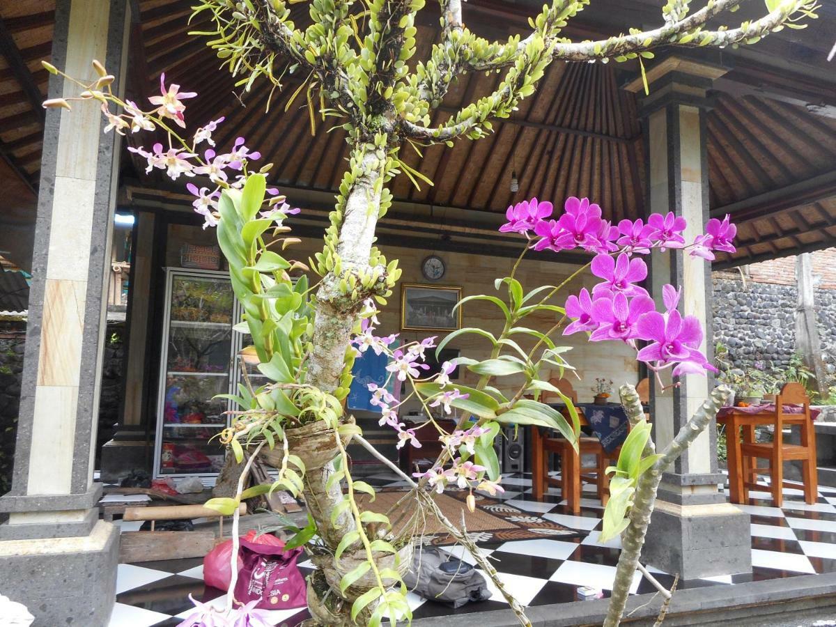 Milla Homestay Sidemen  Bagian luar foto