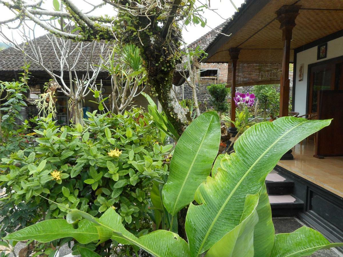 Milla Homestay Sidemen  Bagian luar foto
