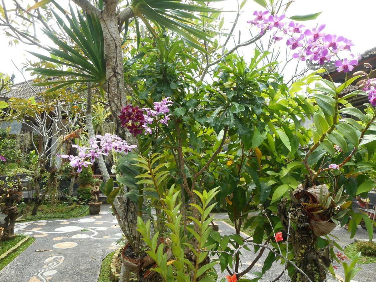 Milla Homestay Sidemen  Bagian luar foto