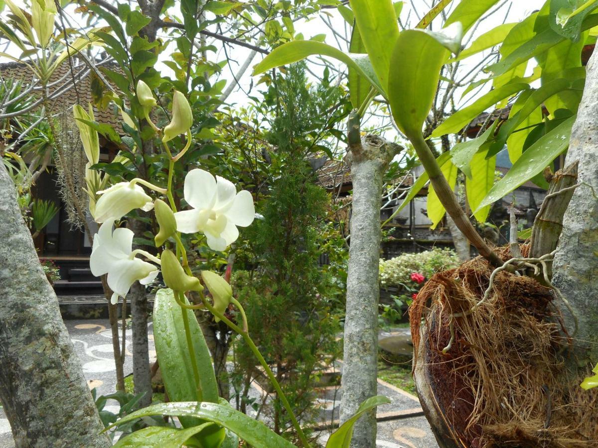 Milla Homestay Sidemen  Bagian luar foto